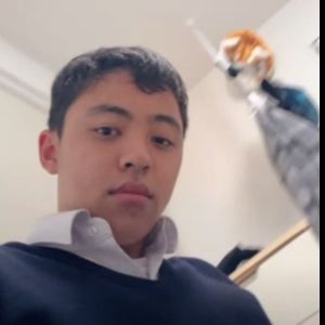 ヒミツ|https://yakata.auat.net