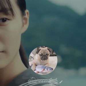 ヒミツ|https://yakata.auat.net